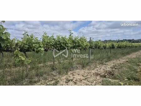 terrain 190000 m² cambieure