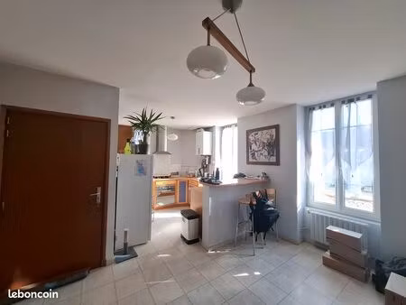 appartement 75m² cusset centre