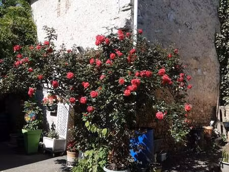 vente maison à ferrières-en-gâtinais (45210) : à vendre / 130m² ferrières-en-gâtinais