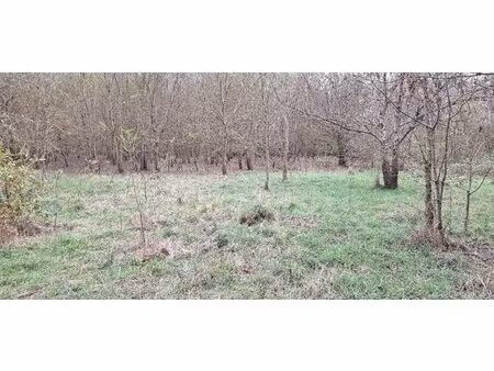 en vente terrain constructible 190 ares – 24 995 € |ancenis