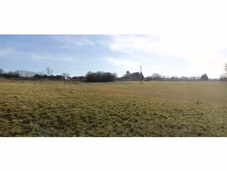 terrain de 5139 m² dont 2707m² constructible.