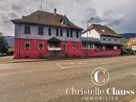 vente immeuble 1030 m² cernay (68700)