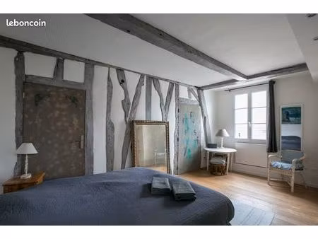 bel appartement en plein coeur du marais
