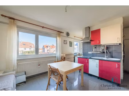 location appartement 1 pièce 21 m² à saint-louis (68300)