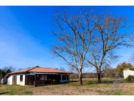 vente maison de village 4 pièces 96 m2 à sainte-eulalie-en-born