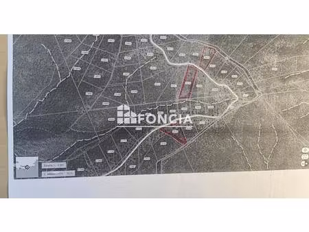 terrain boisé a la londe les maures