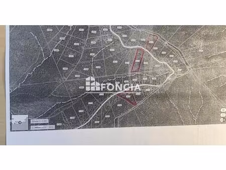 terrain boisé a la londe les maures