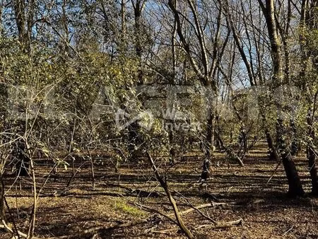 terrain 4148 m² bras