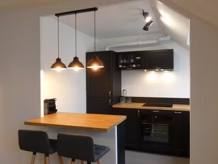 studio meublé + stationnements + cave + résidence sécurisée