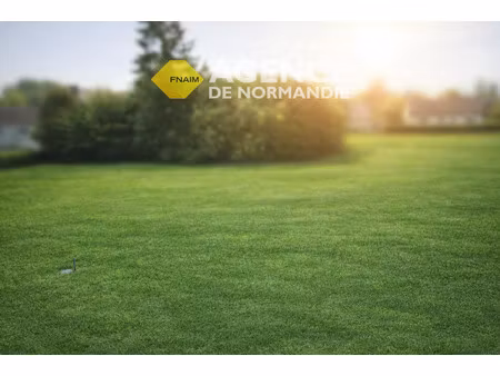 achat terrain 459m² anceins 61550