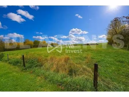 we invest cedric bour