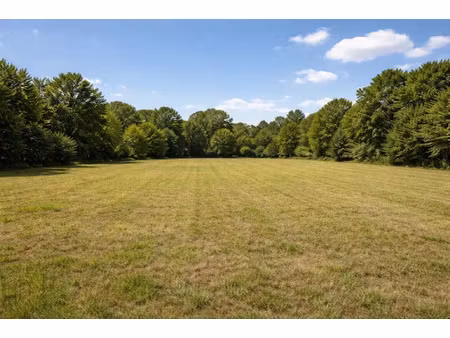 vente terrain 850 m² à razac-sur-l'isle (24430)  28 900 €