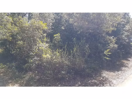 vente terrain 11610 m² à bédarieux (34600)  24 000 €