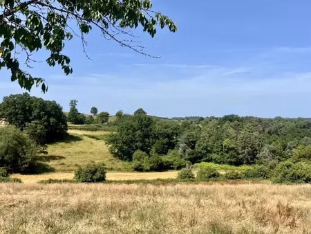 vente terrain 2200 m² à tamniès (24620)  42 000 €