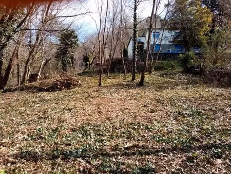 vente terrain 1718 m² à tulle (19000)  12 000 €