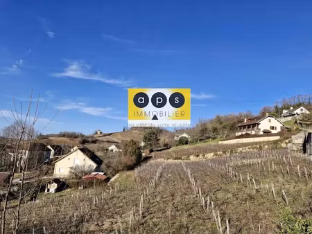 vente terrain 1500 m² à arbois (39600)  65 000 €