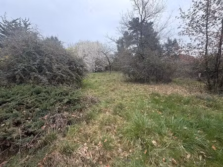 vente terrain 857 m² à cheillé (37190)  75 000 €