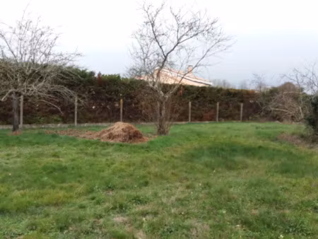 vente terrain 1000 m² à bragayrac (31470)  88 000 €