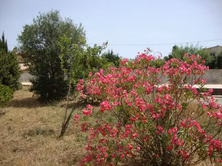 vente terrain 327 m² à la crau (83260)  265 000 €