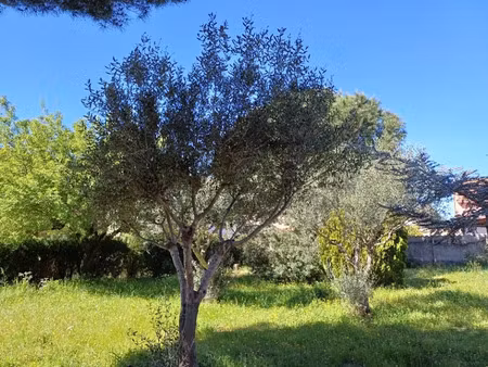 vente terrain 700 m² à la crau (83260)  310 000 €