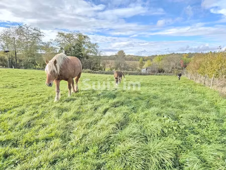 vente terrain à batir 2000 m² à etrabonne (25170)  98 000 €