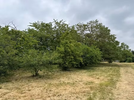 vente terrain 550 m² à sorigny (37250)  85 000 €
