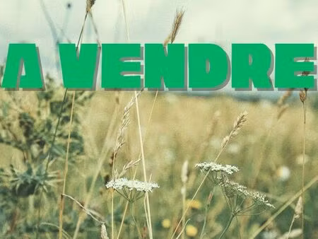 parcelles (en zone n)