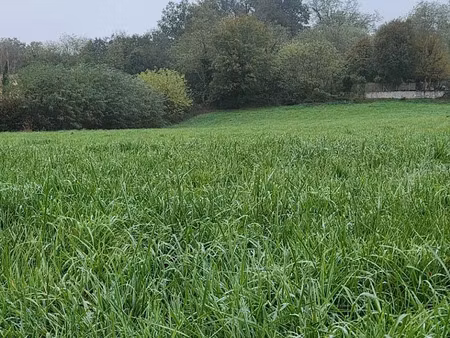 vente terrain 543 m² à bourg-saint-christophe (01800)  145 000 €