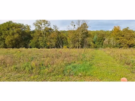 vente terrain 995 m² à fontenilles (31470)  175 000 €