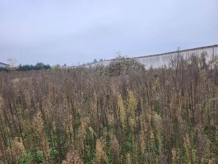 vente terrain 350 m² à taponas (69220)  100 000 €