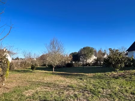 vente terrain 925 m² à larçay (37270)  120 000 €