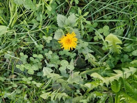 recherche logement urgent