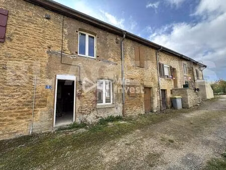 we invest martin collette