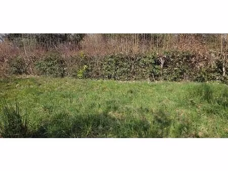 terrain à vendre