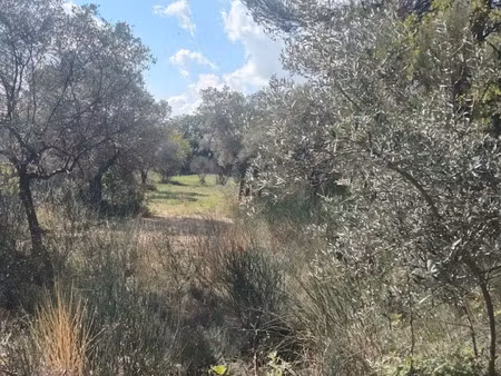 vente terrain 1000 m² à la bastide-des-jourdans (84240)  160 000 €