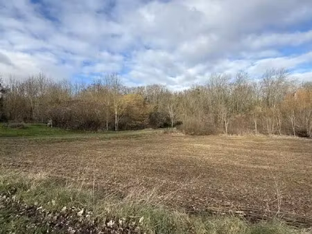 vente terrain à batir 1000 m² à rosnay (51390)  155 000 €