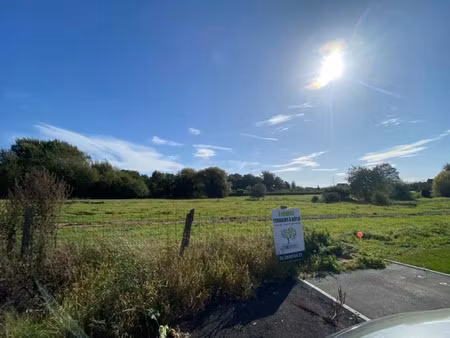 vente terrain 557 m² à tourmignies (59551)  173 000 €