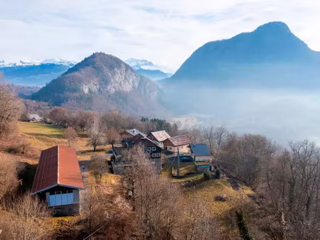 vente locaux professionnels à mieussy (74440)  1 248 000 €