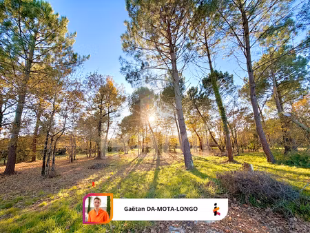vente terrain 800 m² à gujan-mestras (33470)  425 000 €