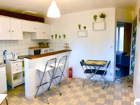 location meublée appartement 2 pièces 30 m² à bléré (37150)  505 €