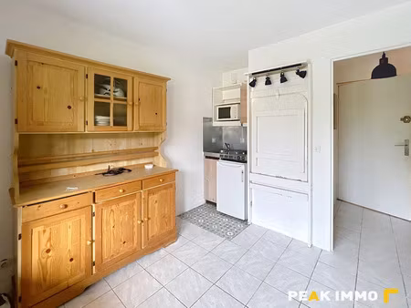 location appartement 1 pièce 18.93 m² à onnion (74490)  420 €