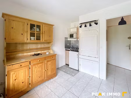 location appartement 1 pièce 18.93 m² à onnion (74490)  450 €