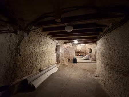 cave dans la roche - rochecorbon - 100m2