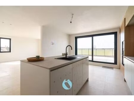 residentie due is een kleinschalige nieuwbouwresidentie