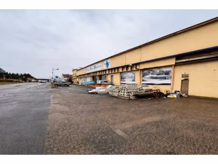 à vendre : ensemble immobilier près de mâcon sud