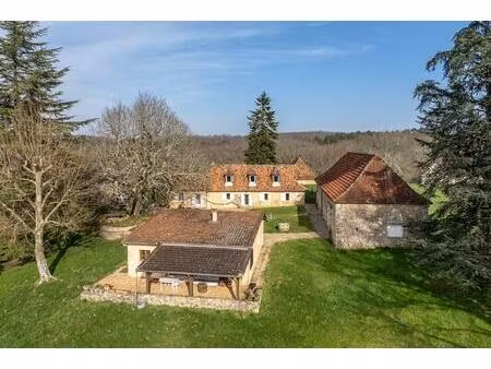 vue panoramique   2 maisons  grange  séchoir à tabac  piscine  puit  ruisseau