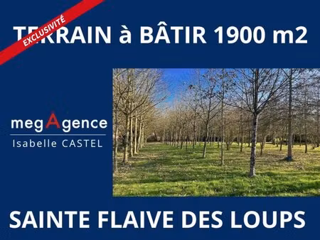 en vente terrain constructible 19 ares – 199 900 € |sainte-flaive-des-loups