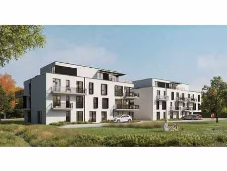 res koriander  evergem