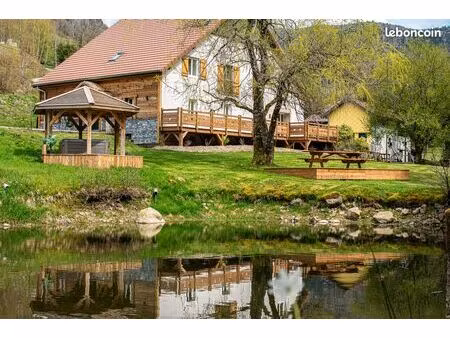 hautes vosges - saint maurice - domaine composé  de 3 appartements une dépendance et un pe