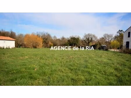 terrain constructible